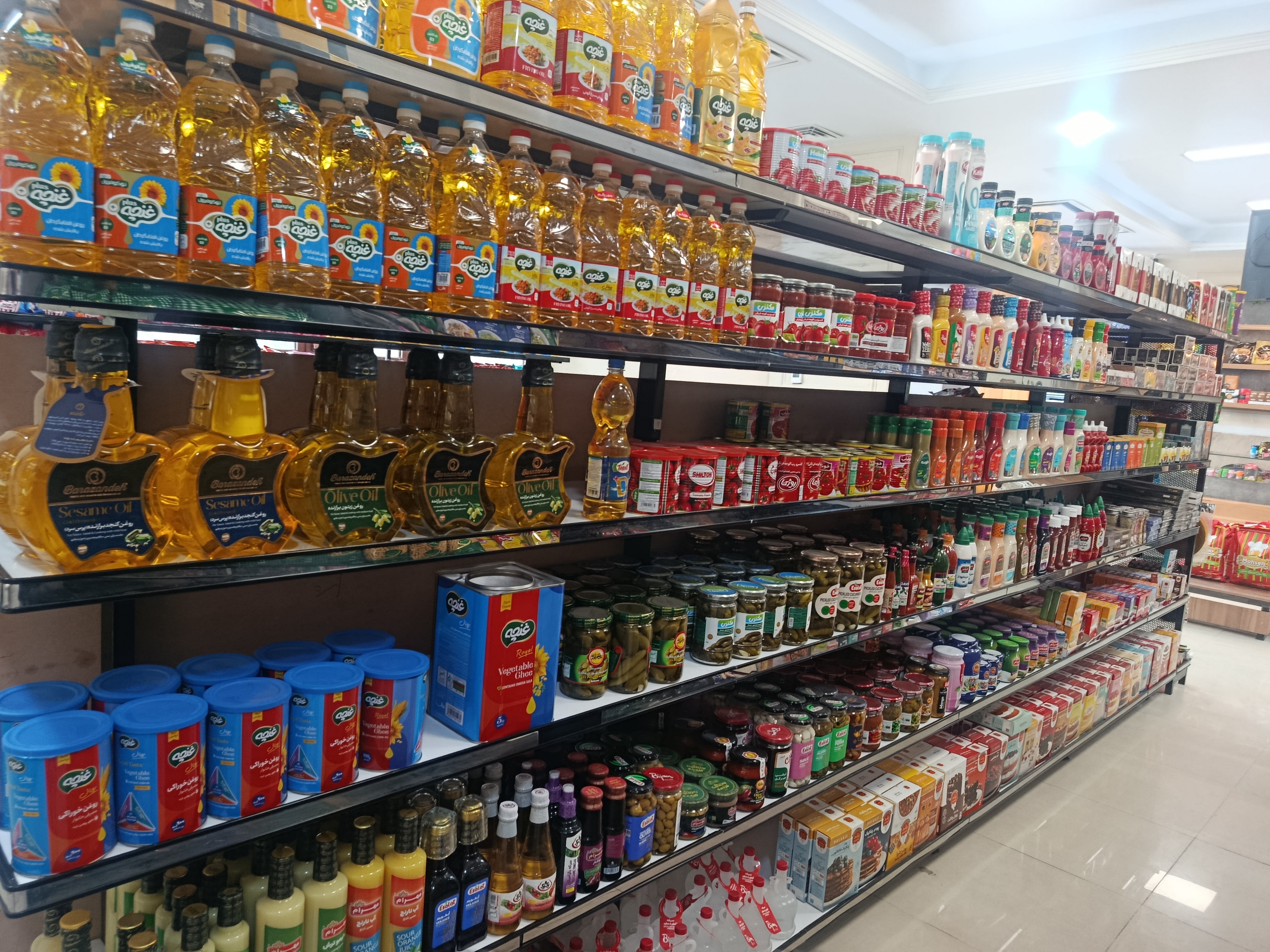 یاران دریان_